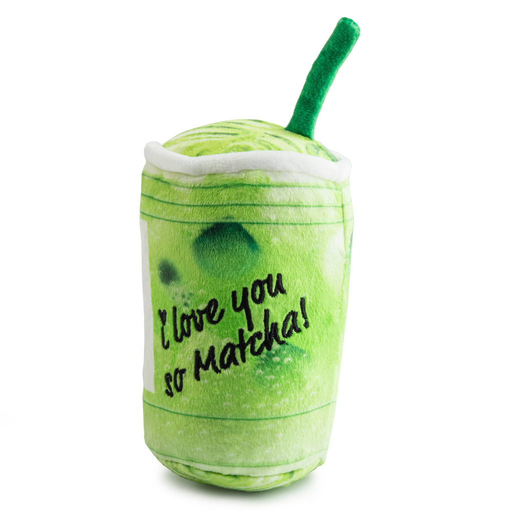 Starbarks Iced Matcha by Haute Diggity Dog - The Bougie Pet Boutique