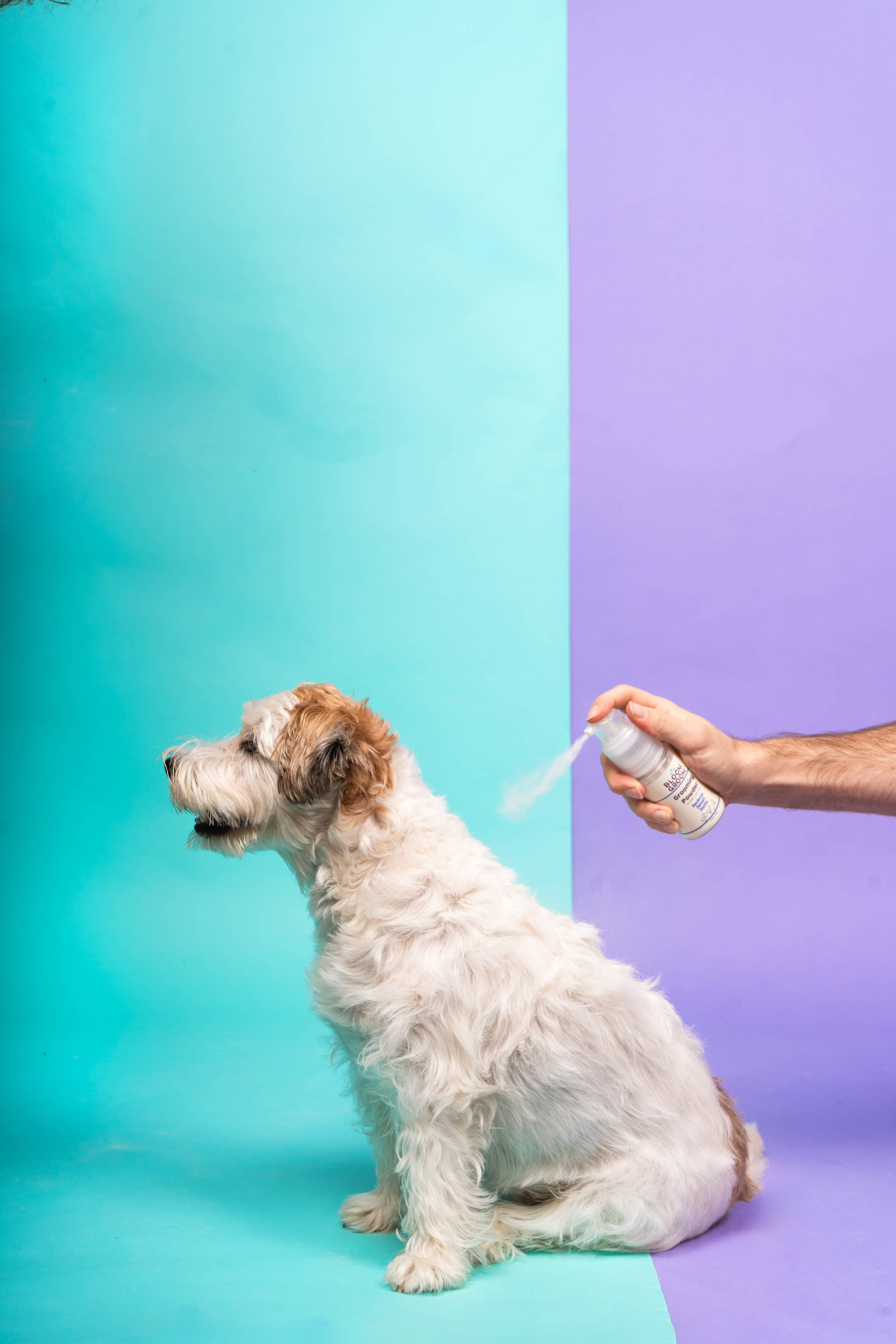 Dry Shampoo Powder For Dogs Bloom Groom