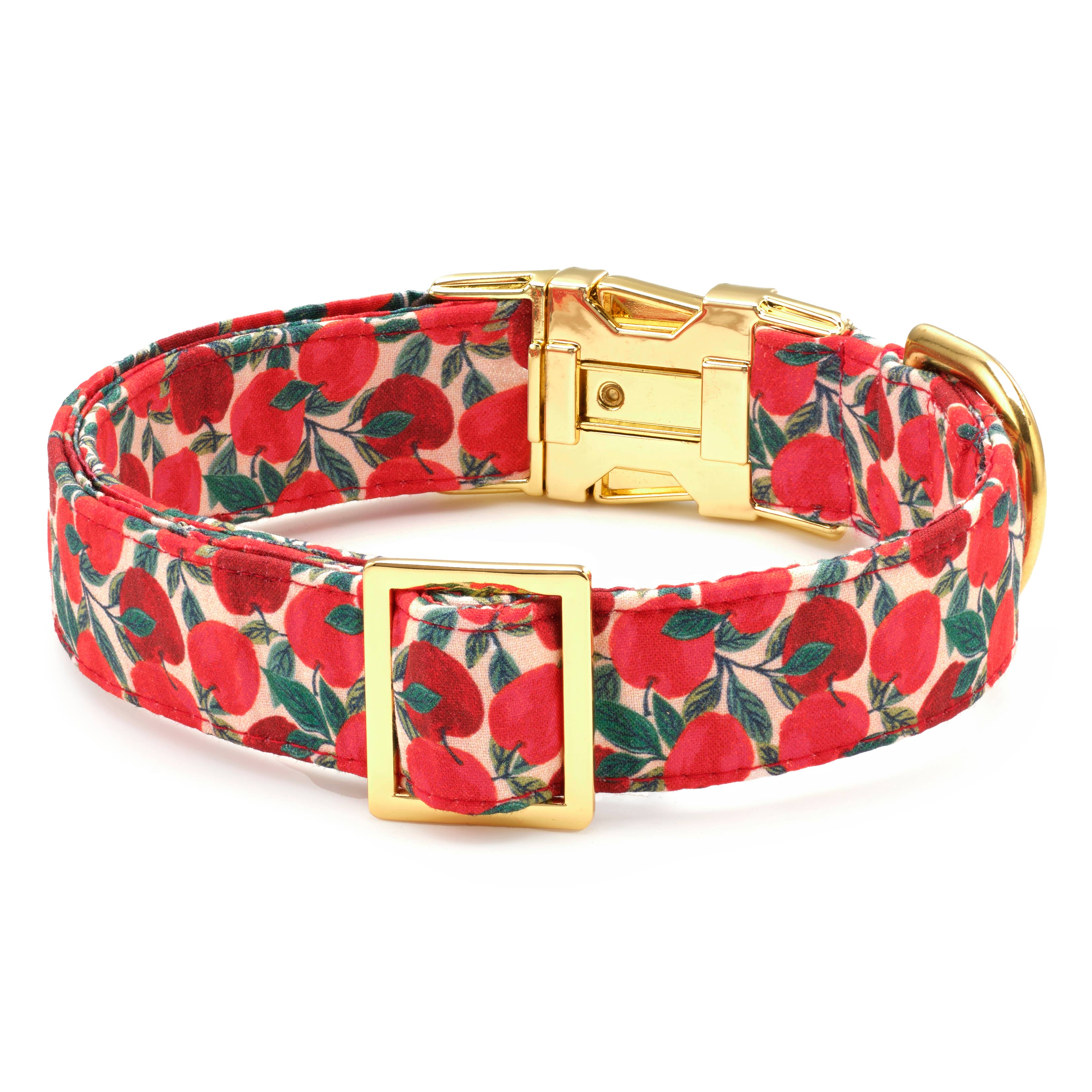 Apple of My Eye Fall Dog Collar - The Bougie Pet Boutique