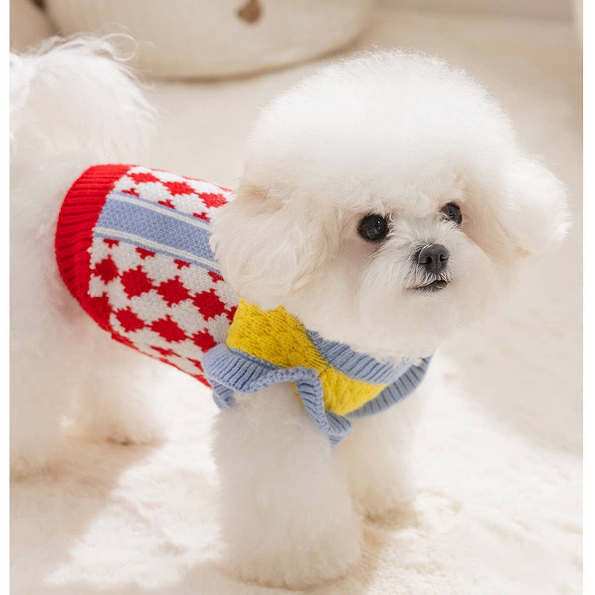 Autumn Winter Pineapple Dog Sweater_CWMM12082 PAWPAWwholesale