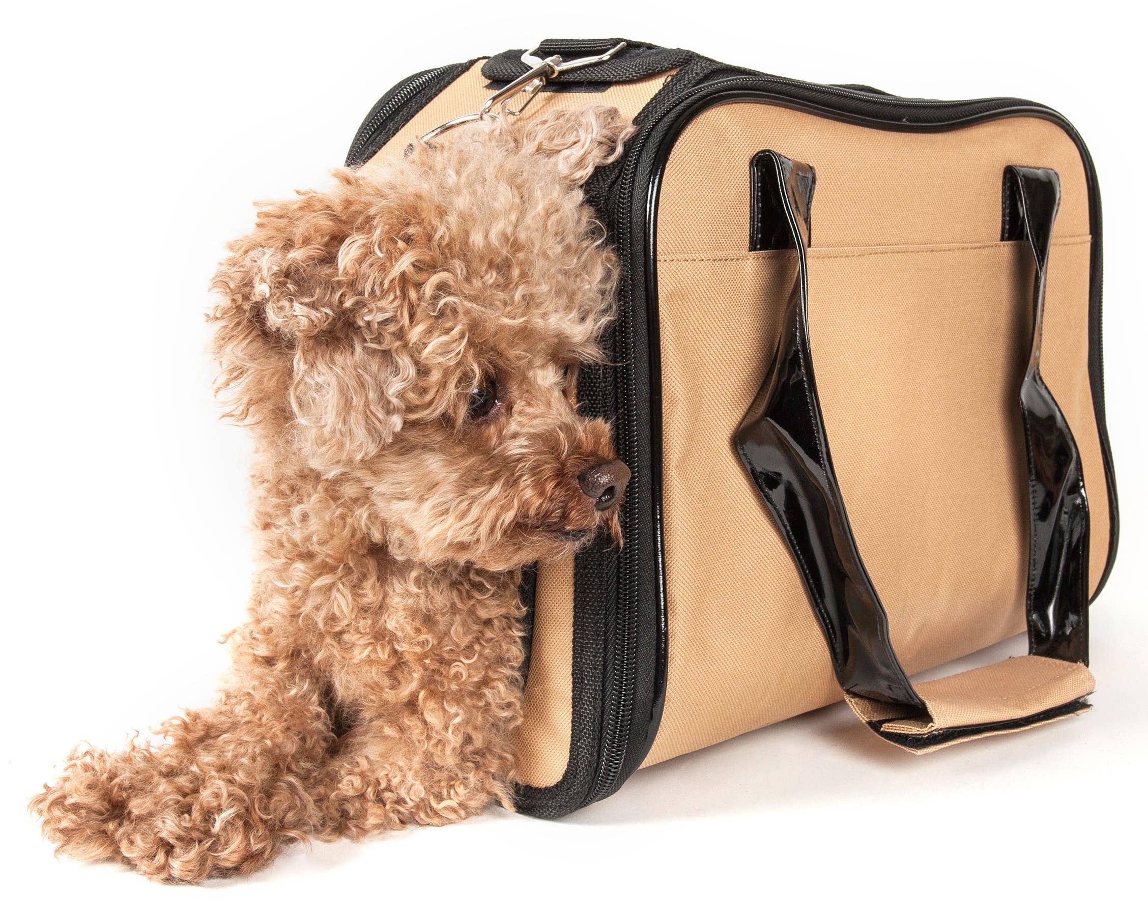 Airline Approved Mystique Fashion Pet Carrier Pet Life
