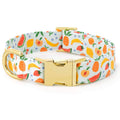 Fruit Salad Summer Dog Collar - The Bougie Pet Boutique