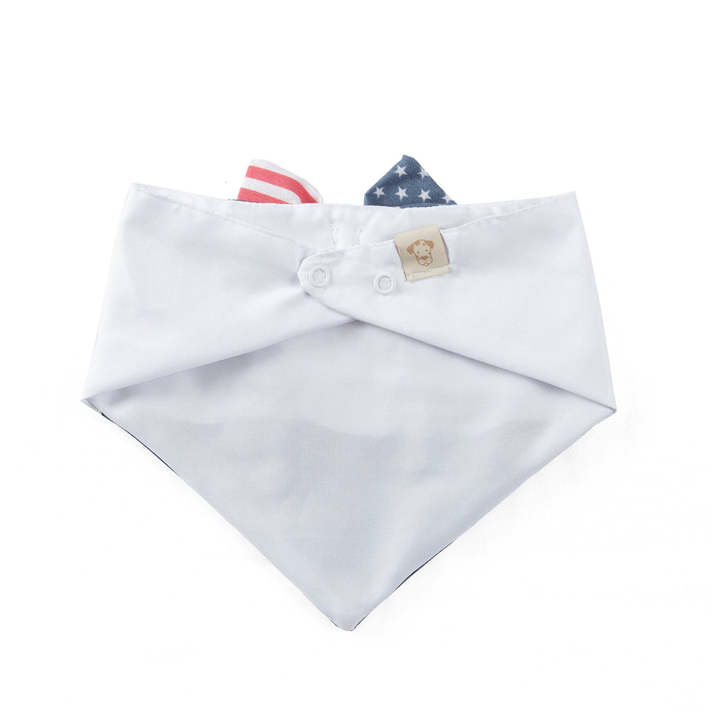 Dog Bandana Patriotic Suspender | 4 of the July  - The Bougie Pet Boutique