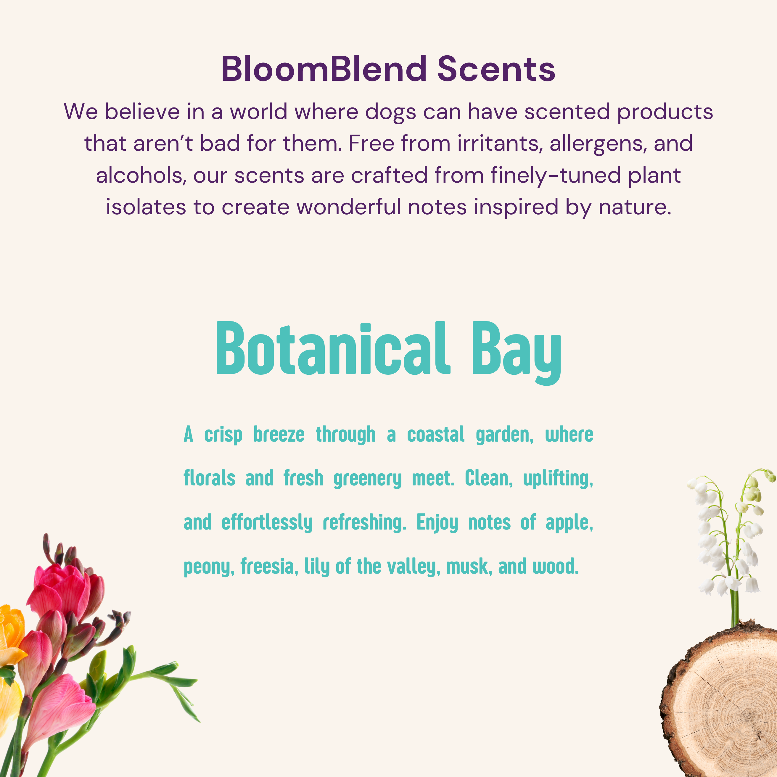 Nourishing Shampoo For Dogs, Botanical Bay Bloom Groom