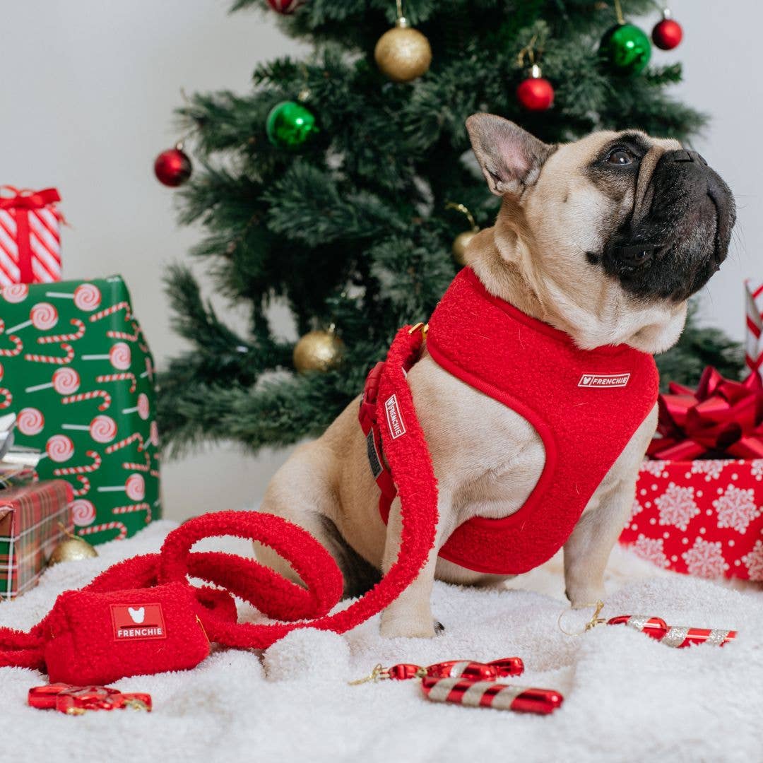 Frenchie Duo Reversible Harness - Teddy Red