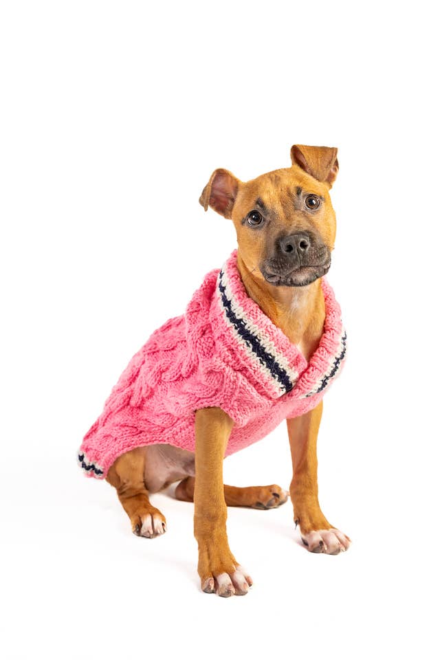 Preppy Pink Cable Knit Sweater - The Bougie Pet Boutique