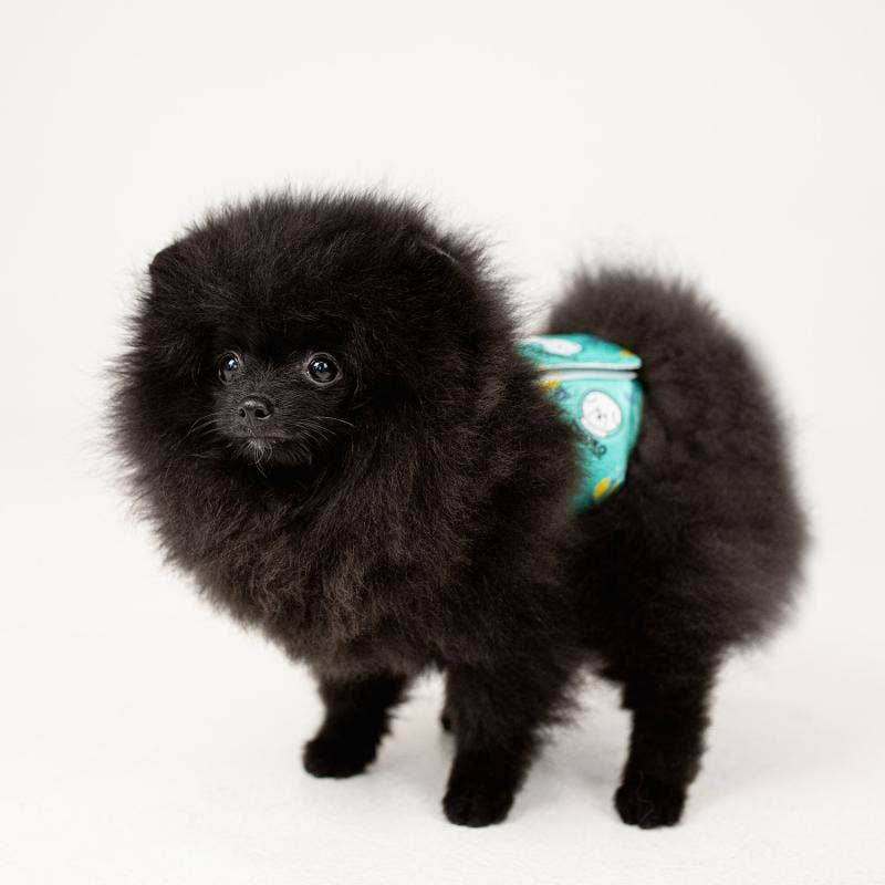 Washable Male Dog Diapers – 3 Pack Adjustable Belly Wraps KIKA USA