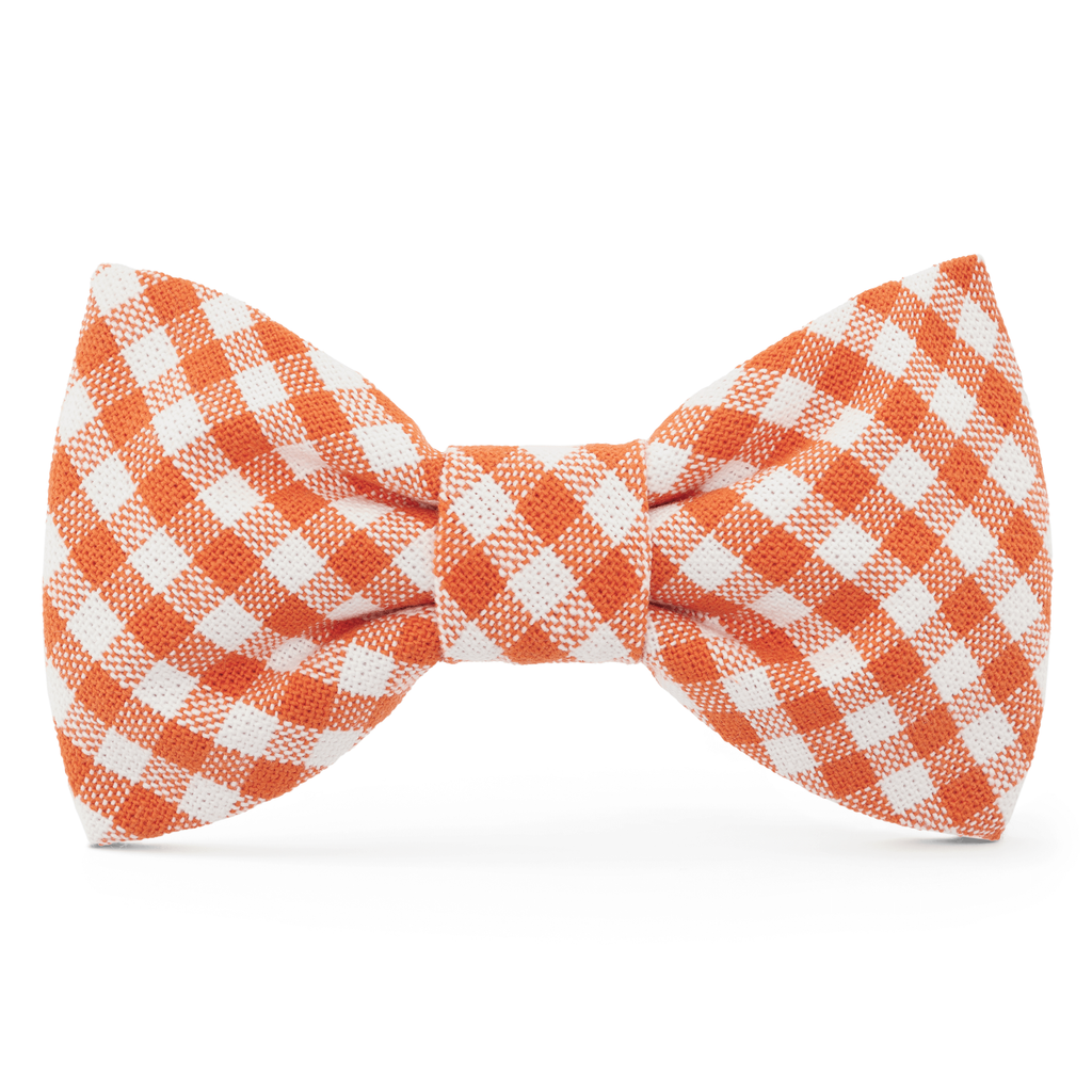 Cider Gingham Dog Bow Tie - The Bougie Pet Boutique
