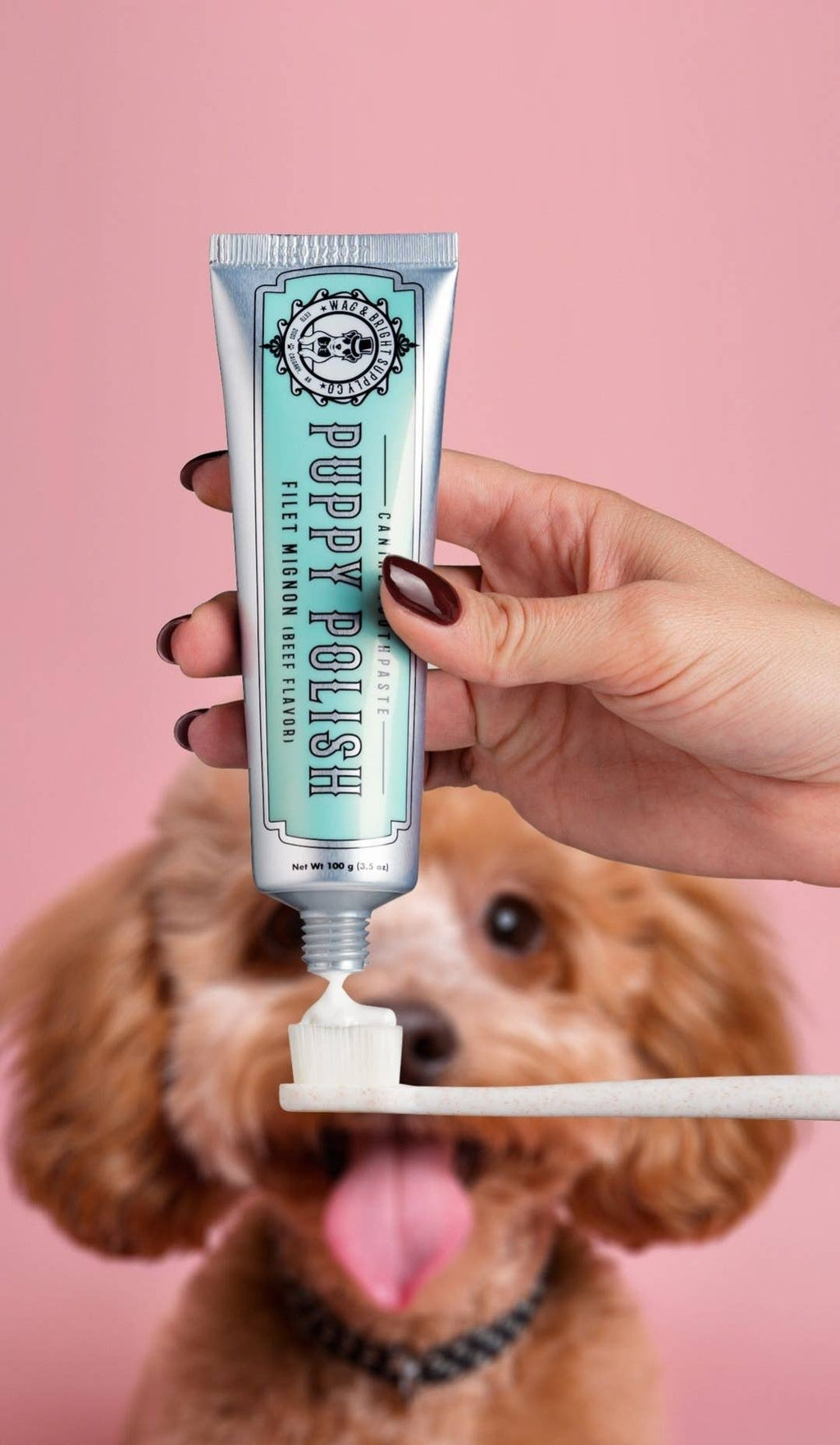 Puppy Polisher Eco Toothbrush - (Medium) - The Bougie Pet Boutique