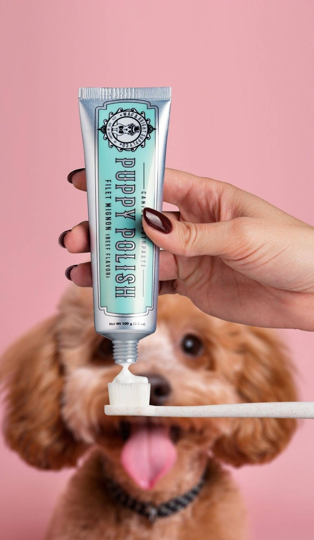 Puppy Polisher Eco Toothbrush - (Medium) - The Bougie Pet Boutique