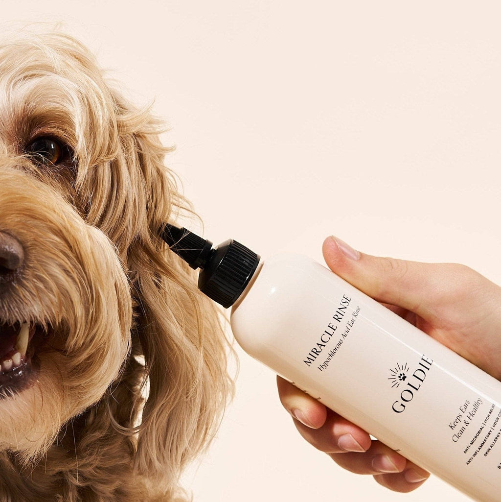 Miracle Rinse - The Bougie Pet Boutique