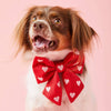 Hearts Embroidered Lady Dog Bow