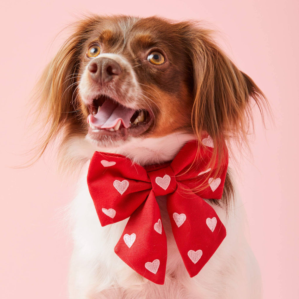 Hearts Embroidered Lady Dog Bow - The Bougie Pet Boutique