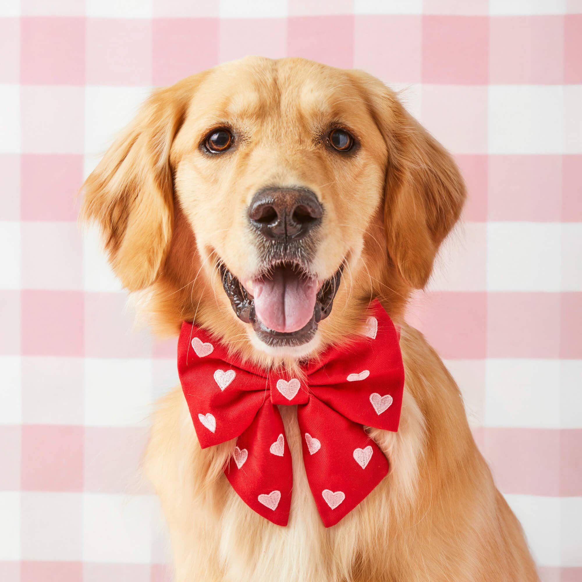 Hearts Embroidered Lady Dog Bow - The Bougie Pet Boutique