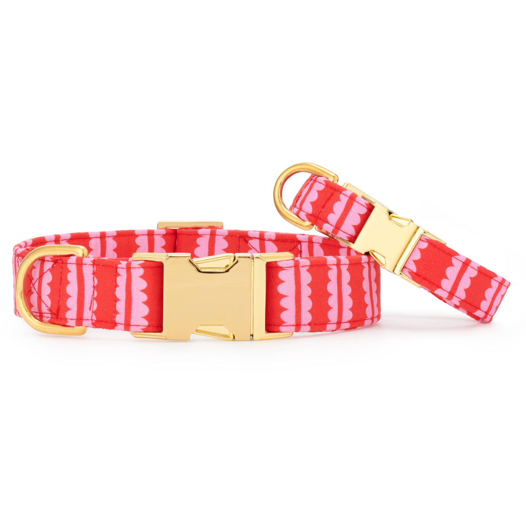 Scallop Stripe Dog Collar - The Bougie Pet Boutique