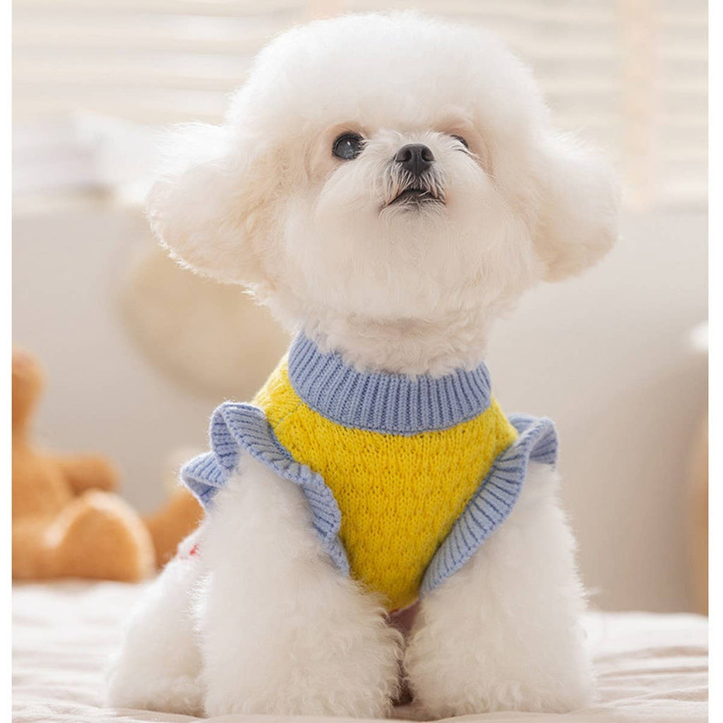 Autumn Winter Pineapple Dog Sweater_CWMM12082 PAWPAWwholesale