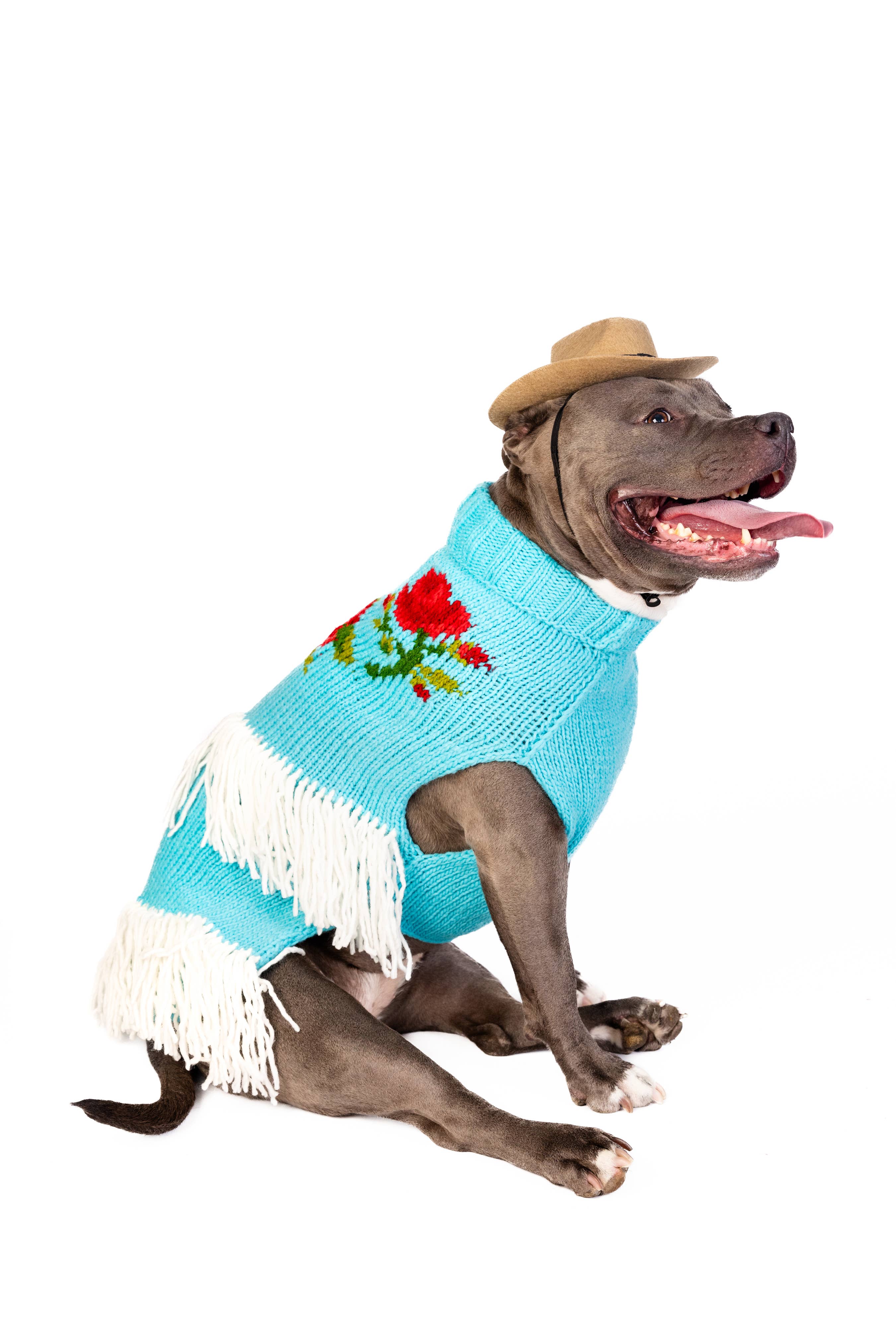 Chilly Dog Rodeo Dog & Cat Sweater - The Bougie Pet Boutique