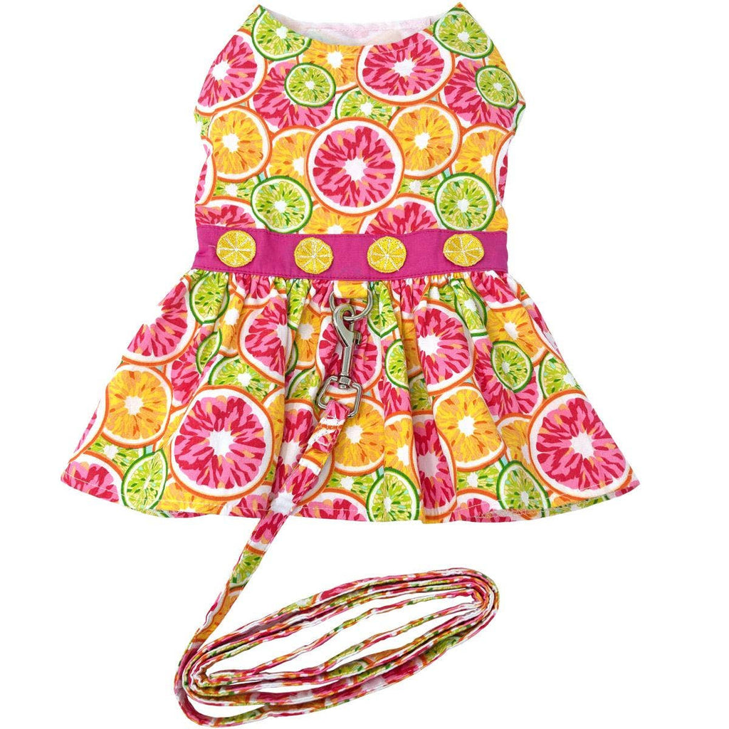 Citrus Slice Dog Dress w/ Matching Leash - The Bougie Pet Boutique
