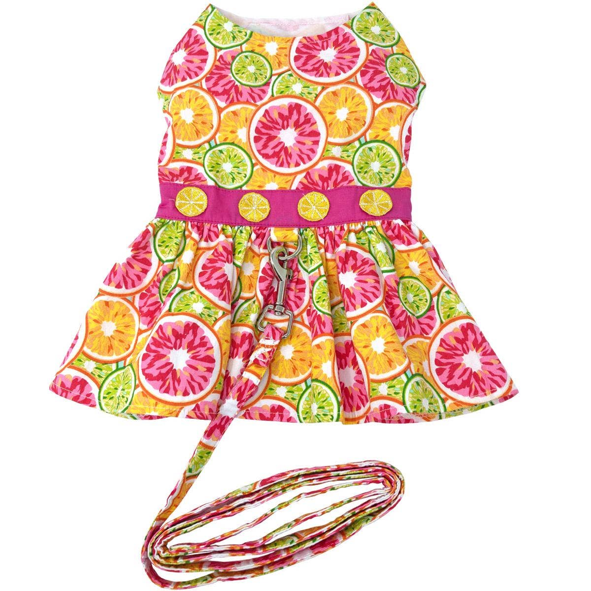 Citrus Slice Dog Dress w/ Matching Leash - The Bougie Pet Boutique