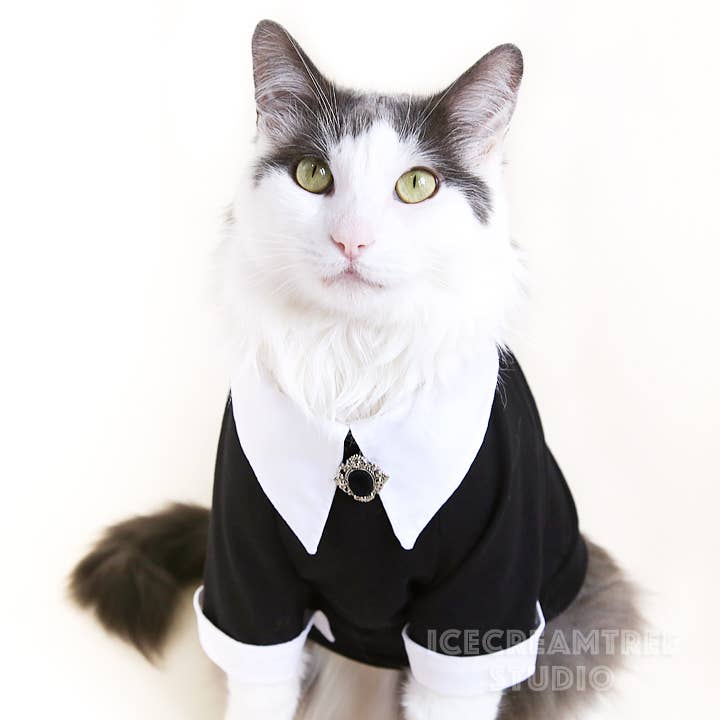 Wednesday Look Outfit Black Shirt Dress - Dog Cat