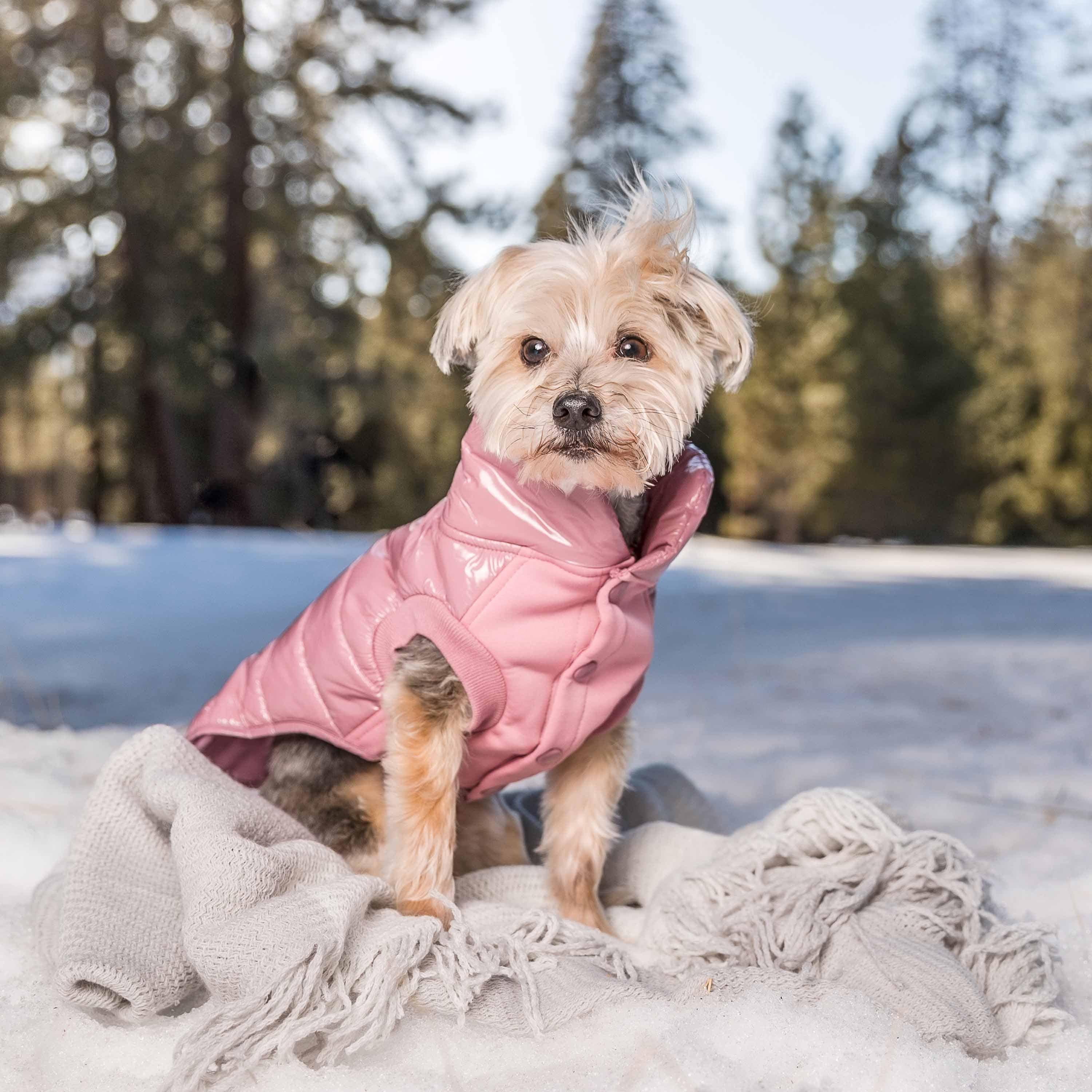 Custom-woven& Dyed Puffer Jacket, Flex Chest + Leash Opening - The Bougie Pet Boutique