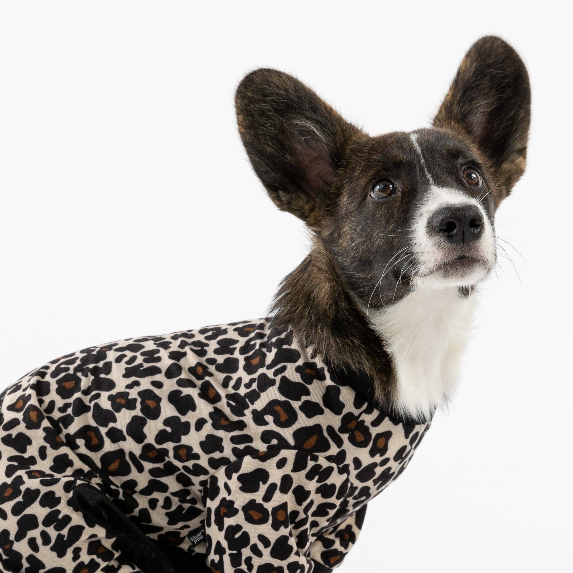 Dog Pajama - Leopard - The Bougie Pet Boutique
