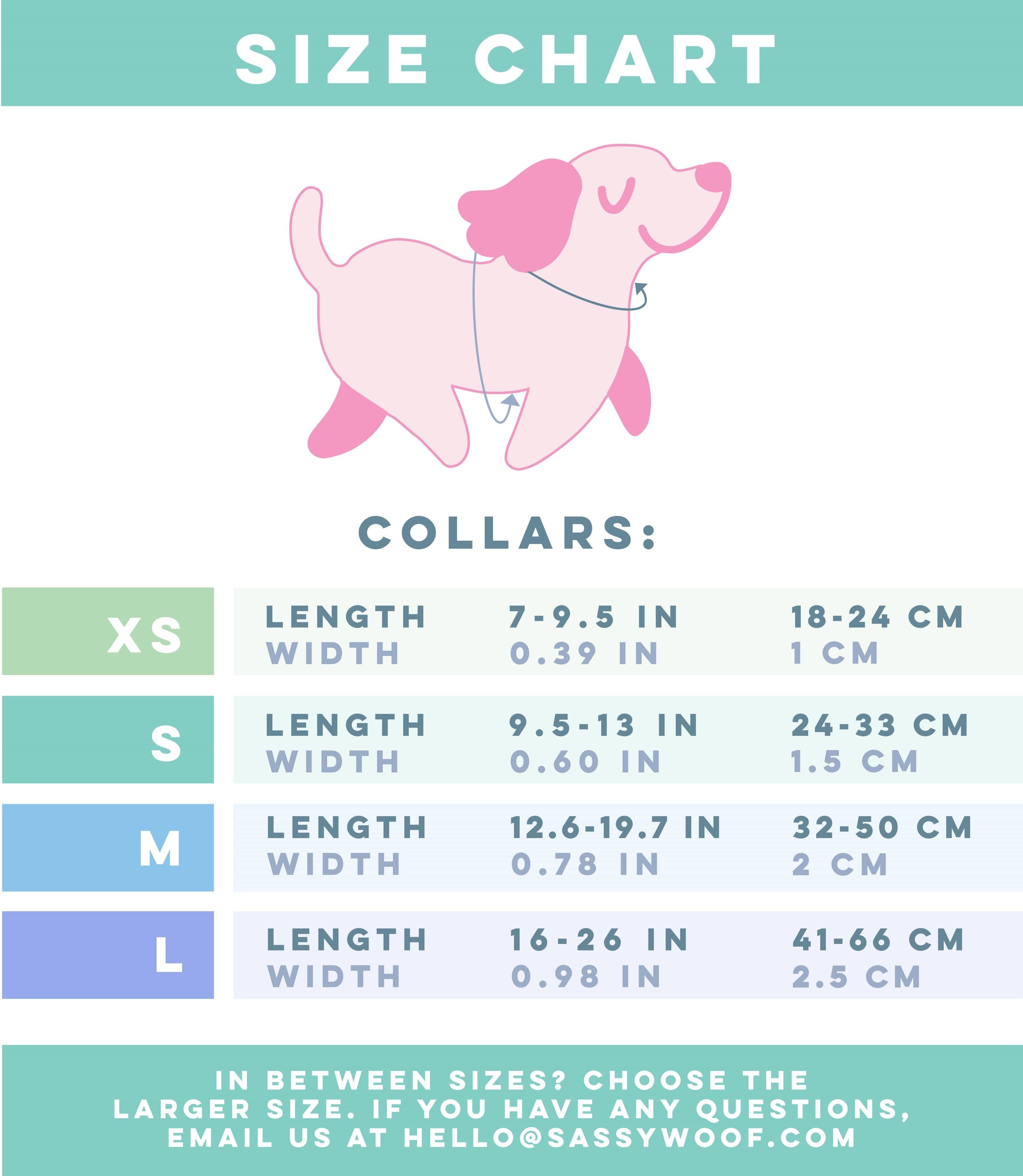 Dog Collar - KEN™ - The Bougie Pet Boutique