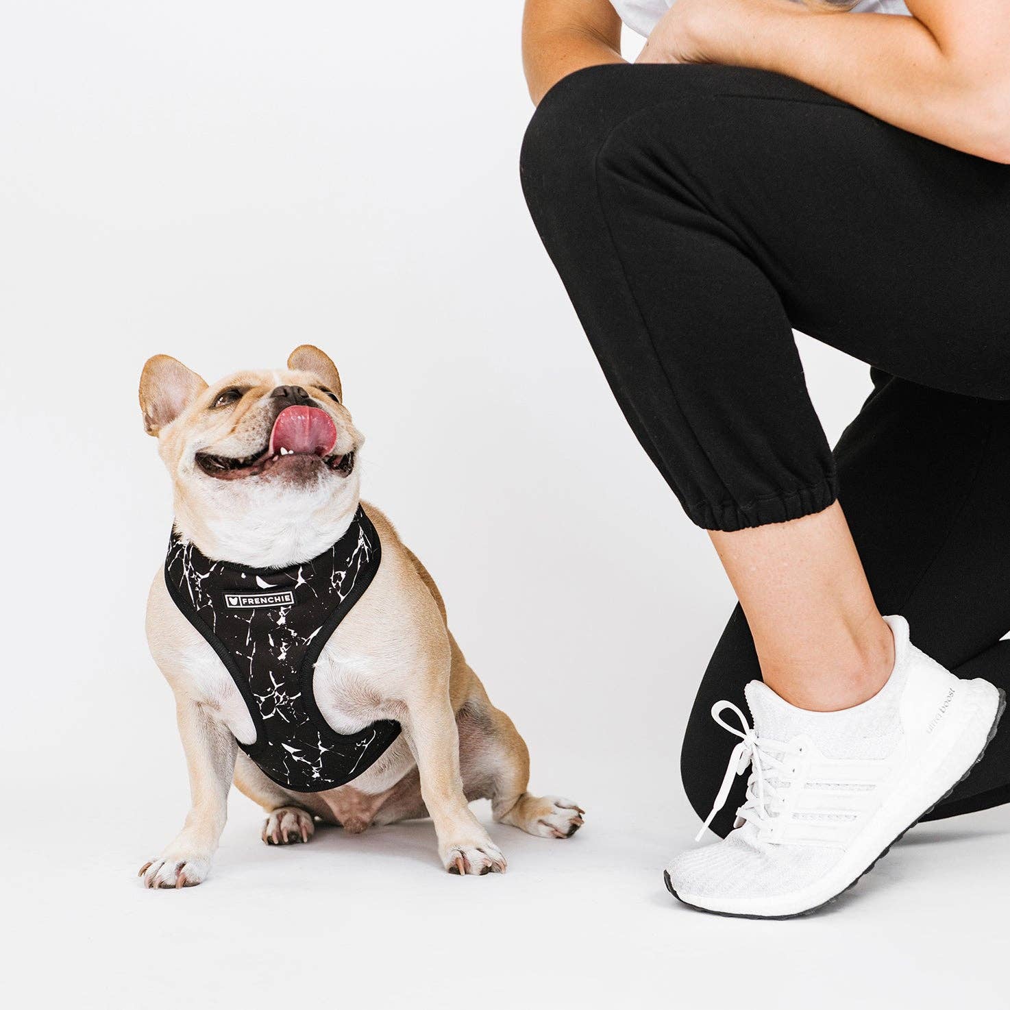 Frenchie Duo Reversible Harness - Black Marble - The Bougie Pet Boutique