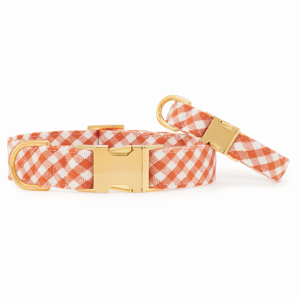 Cider Gingham Dog Collar - The Bougie Pet Boutique