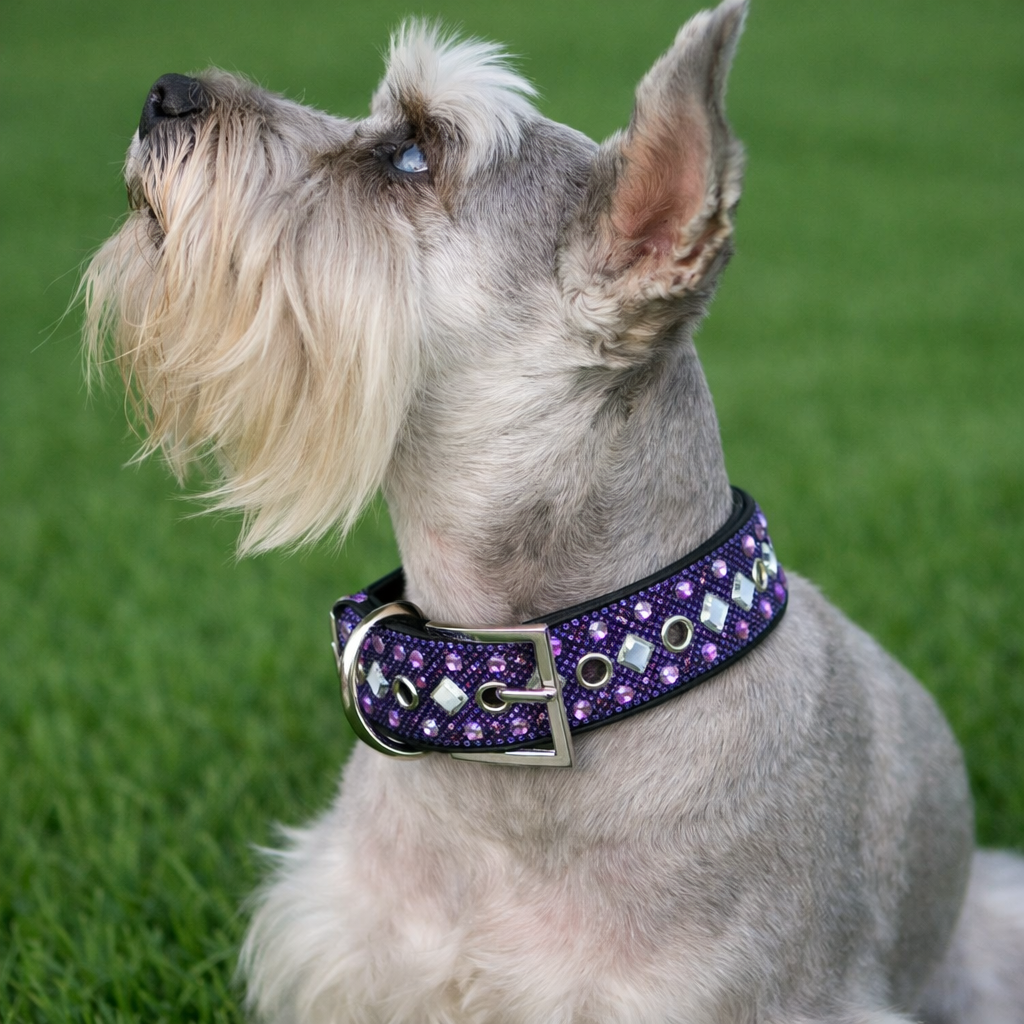 Purple Rhinestone Dog Collar Dog Collar World