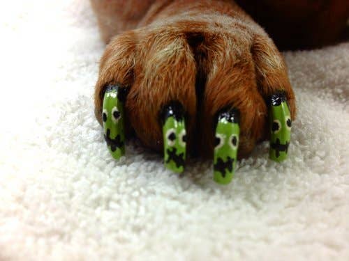Pawdicure Nail Polish Pen - Quick Dry - 13 Colors - The Bougie Pet Boutique