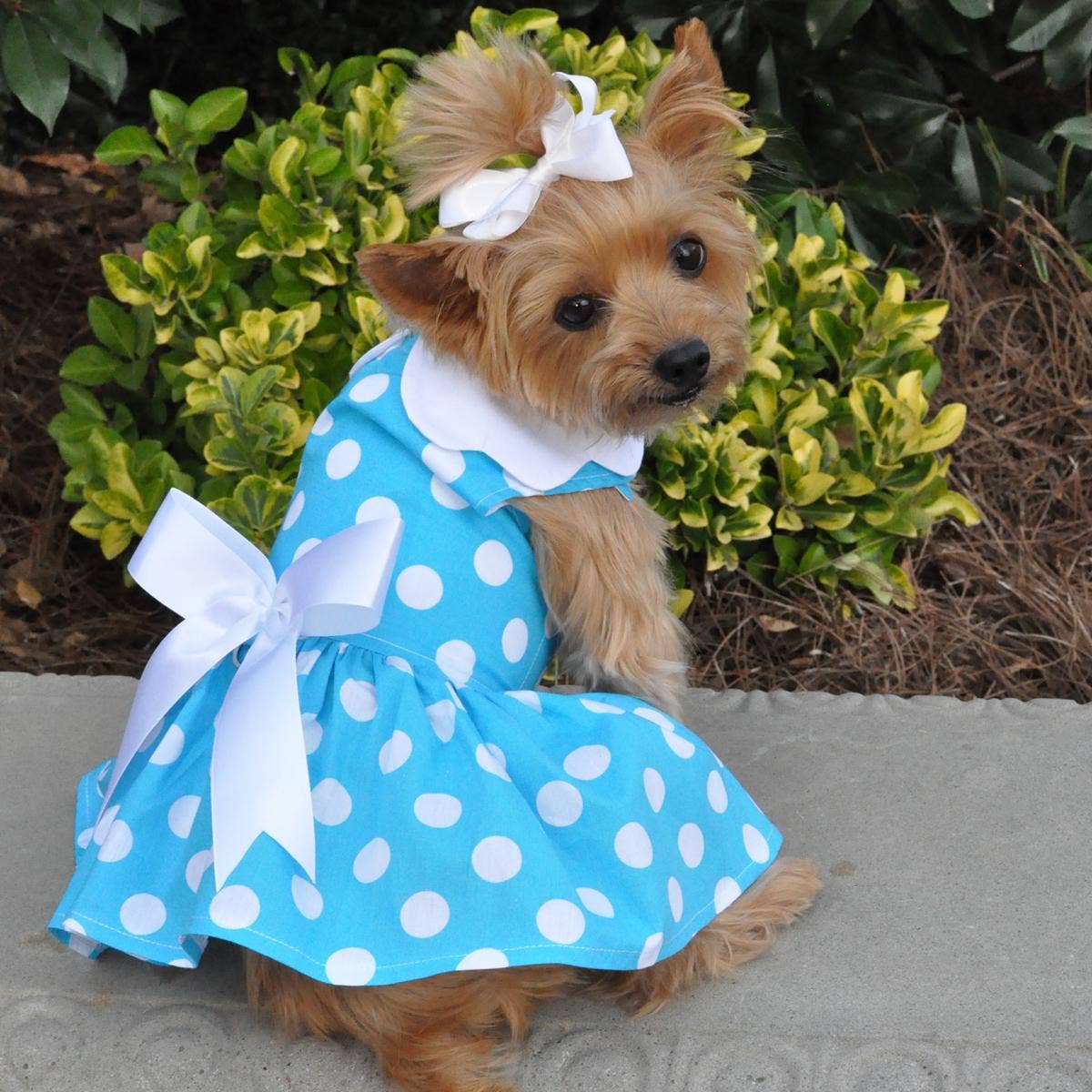 Blue Polka Dot Dog Dress w/ Matching Leash - The Bougie Pet Boutique