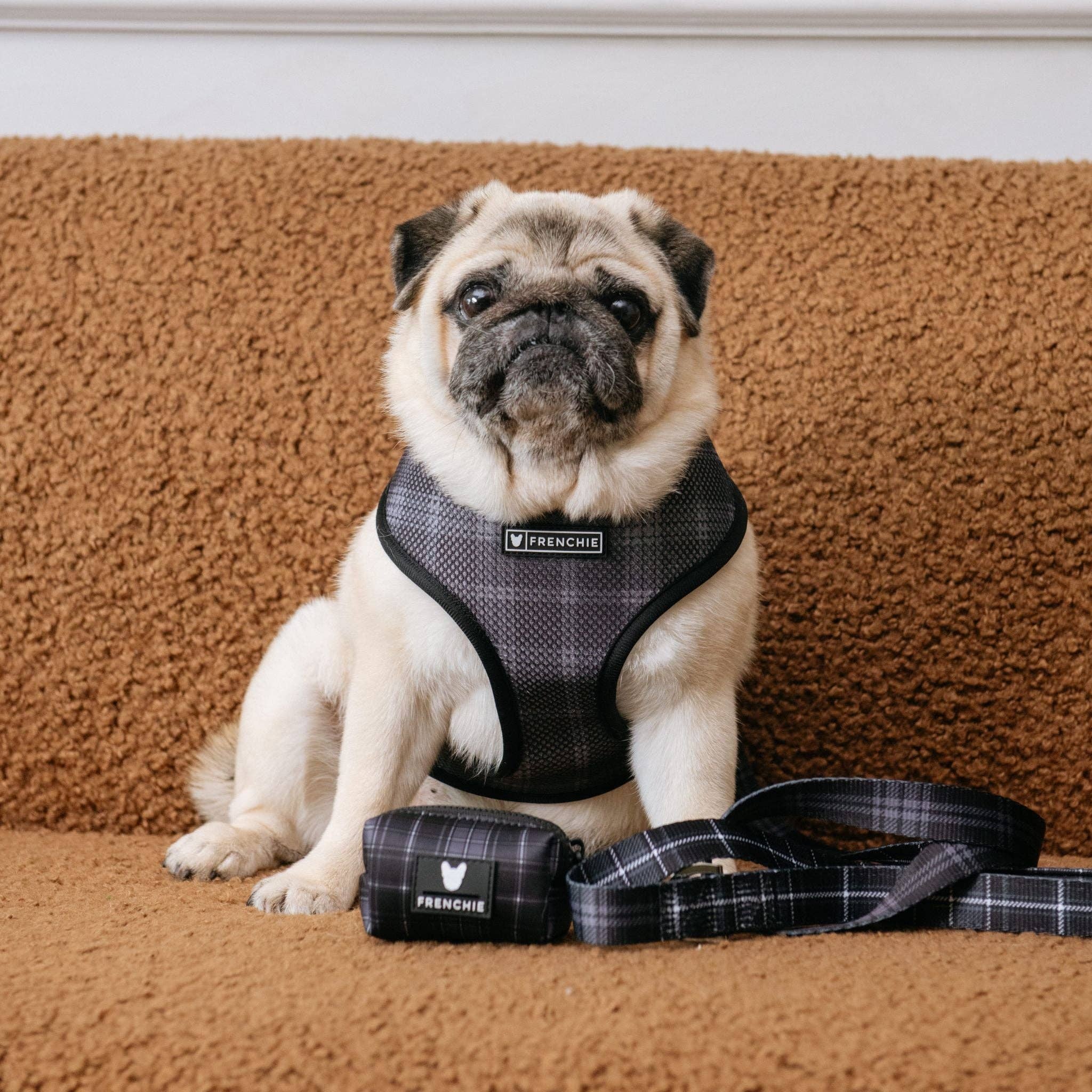 Frenchie Poo Bag Holder - Black Plaid