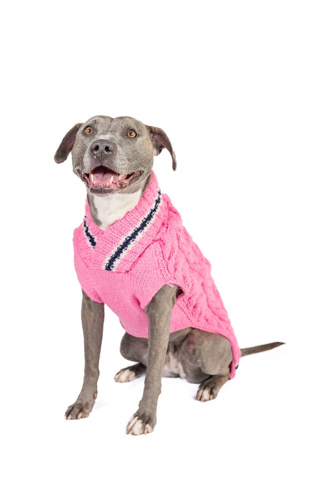 Preppy Pink Cable Knit Sweater - The Bougie Pet Boutique