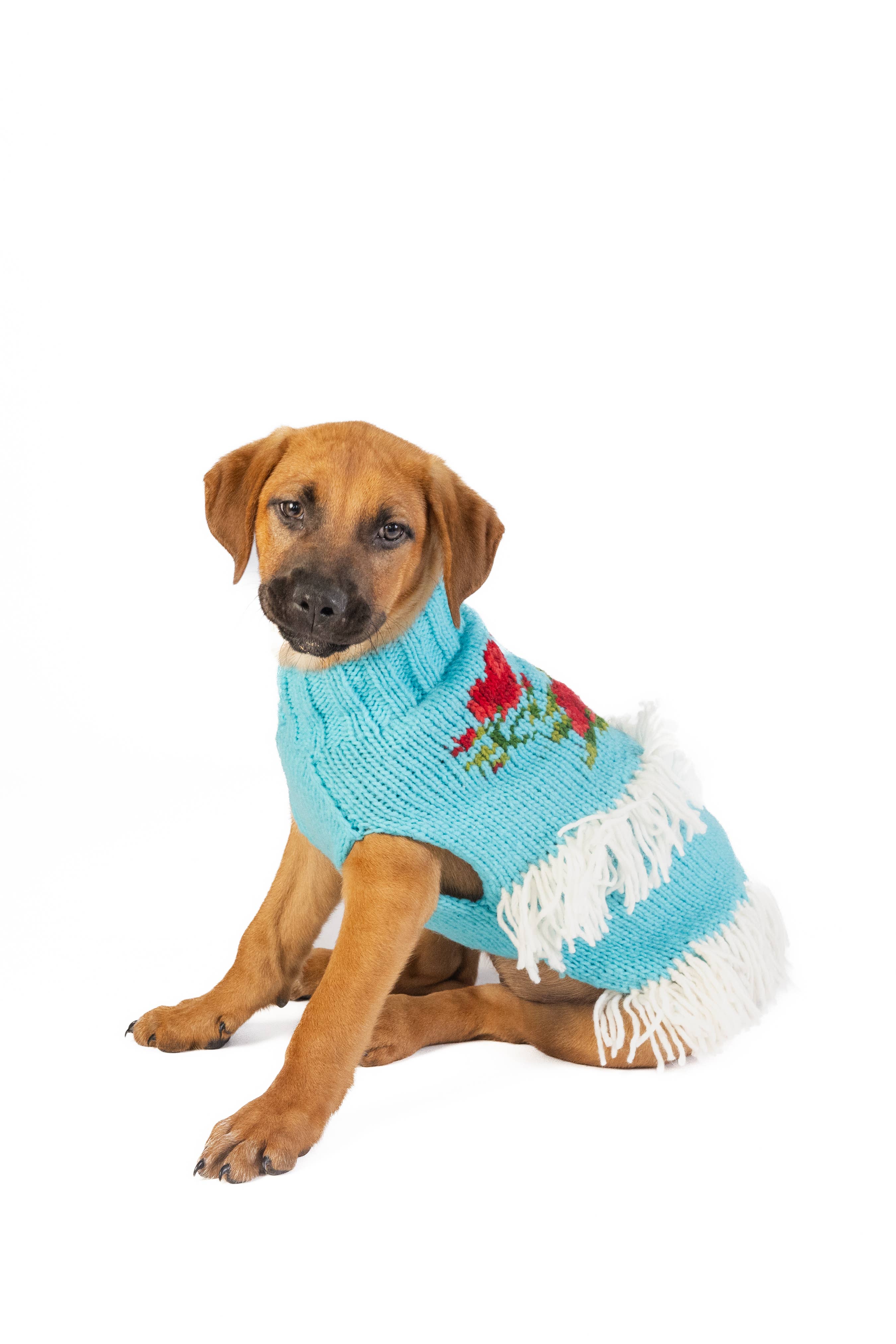Chilly Dog Rodeo Dog & Cat Sweater - The Bougie Pet Boutique