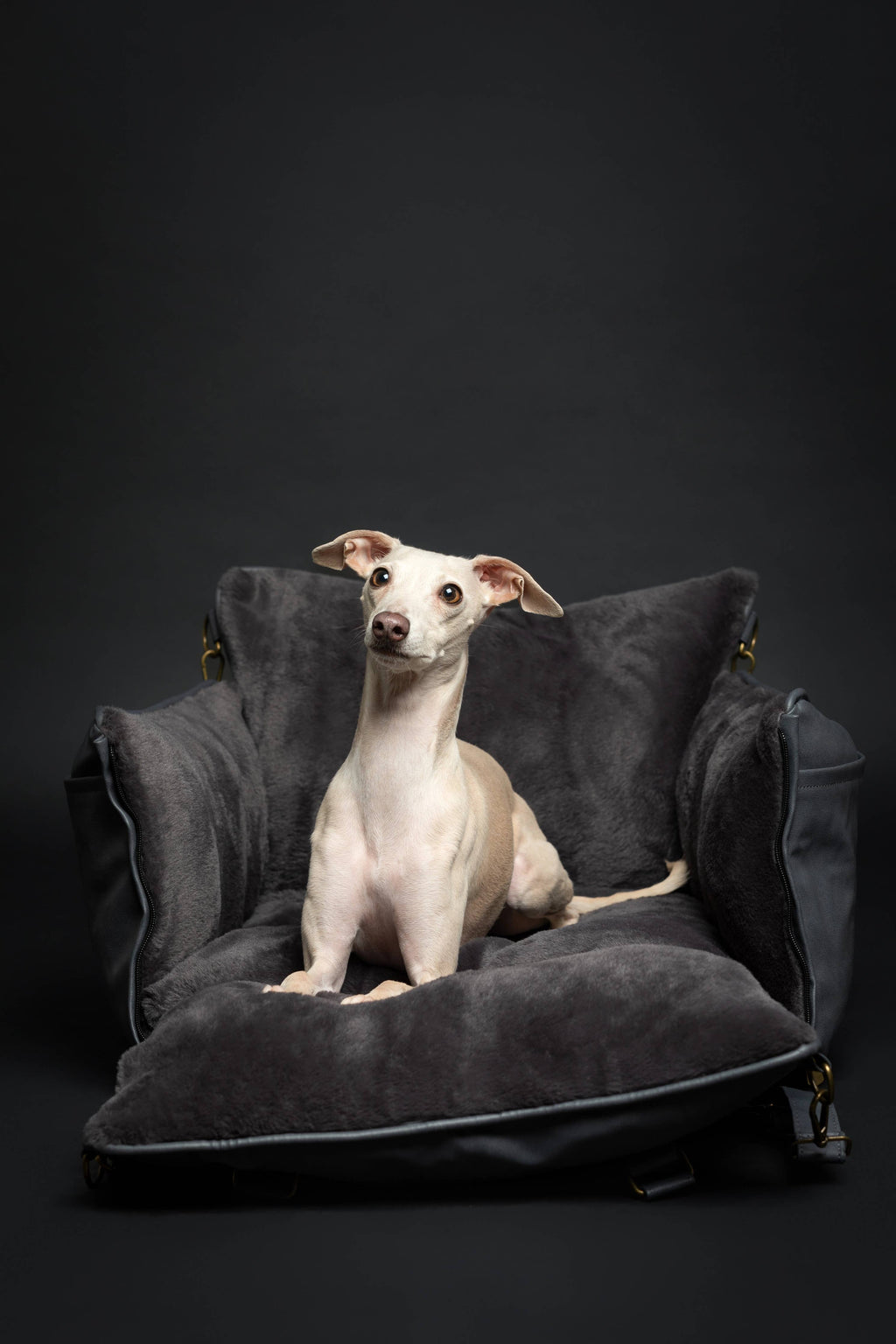 Dog Car Seat Carrier Orthopedic Crushed Foam, Black, Vegan Leather - The Bougie Pet Boutique