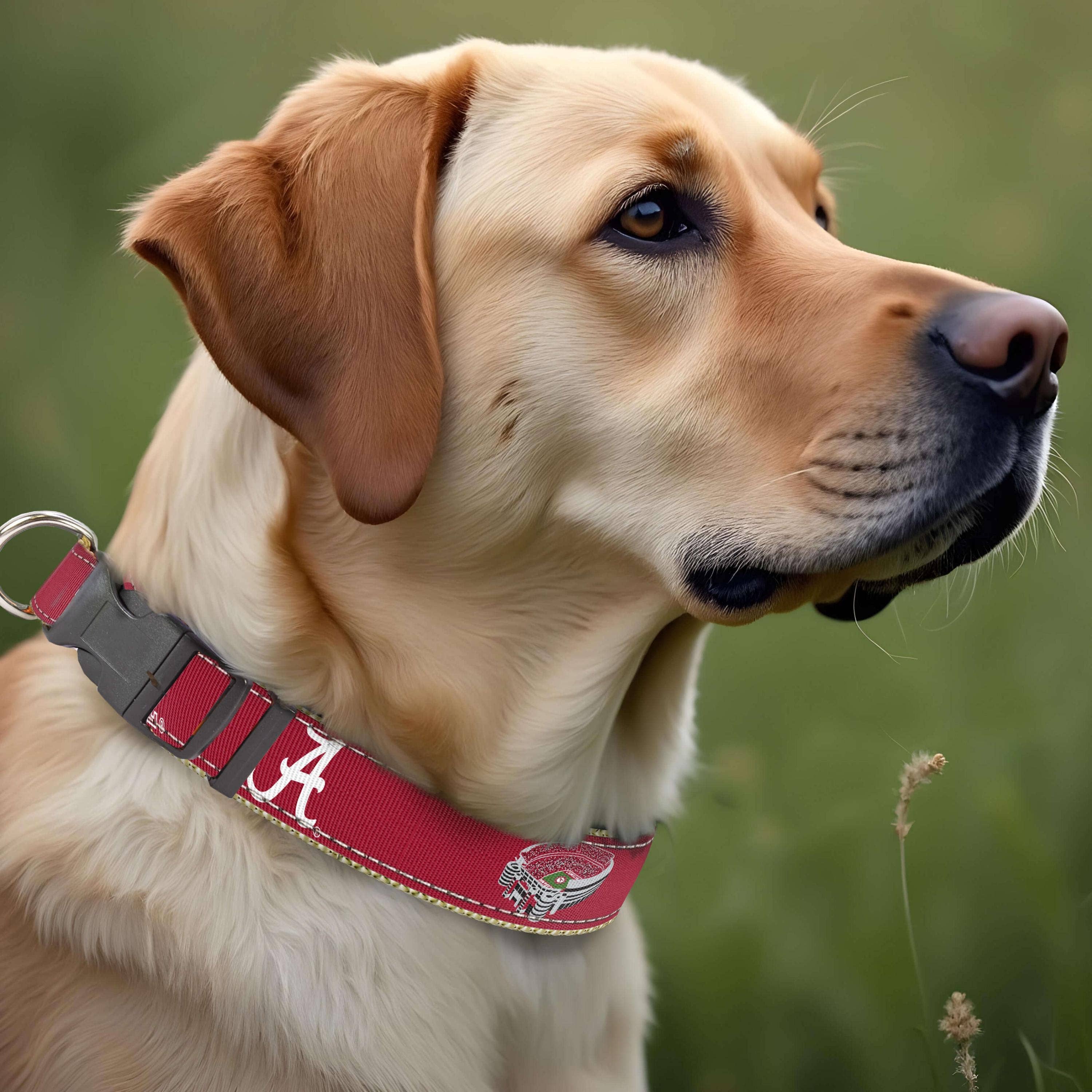 Alabama Crimson Tide Collegiate Woven Ribbon Dog Collar. - The Bougie Pet Boutique
