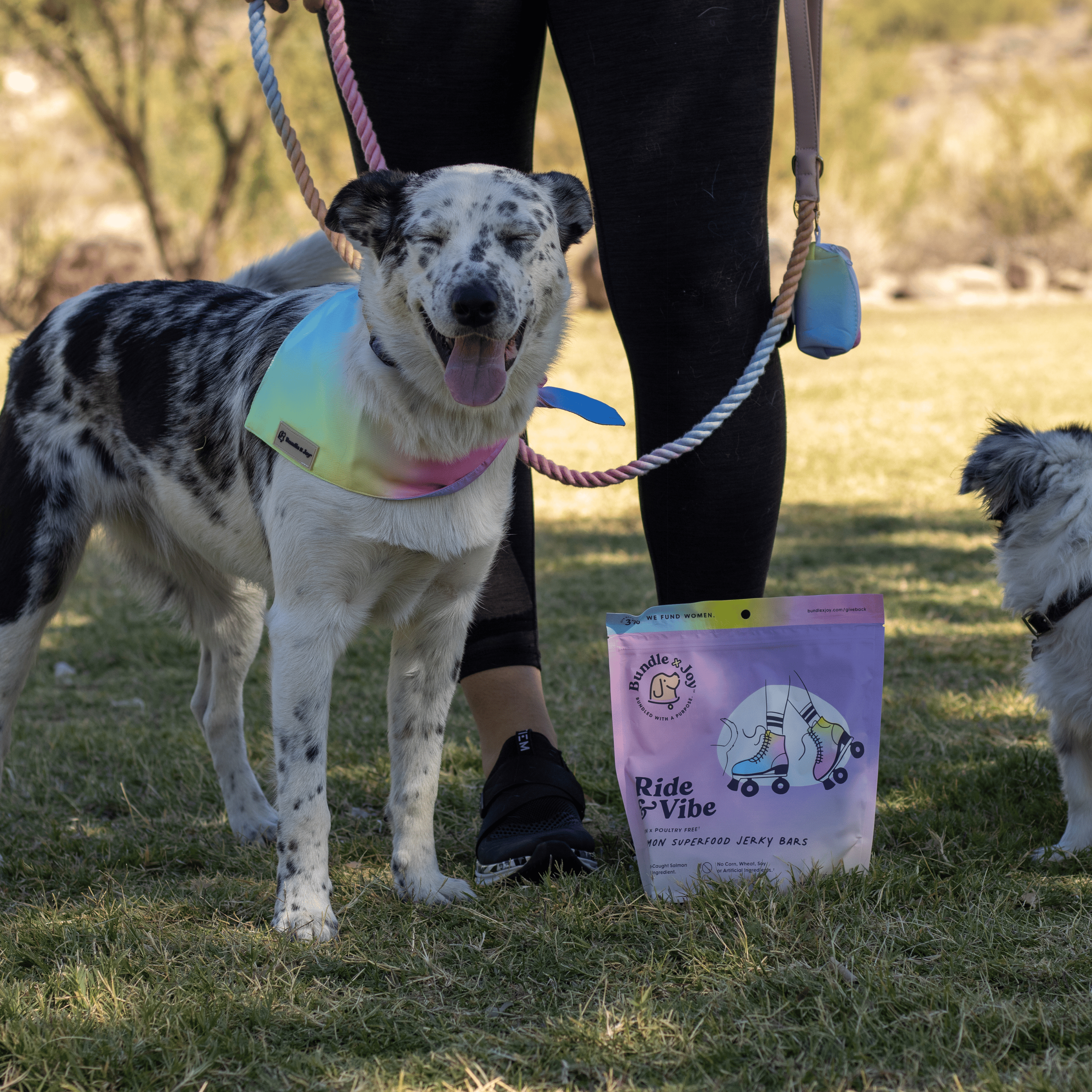 Ride & Vibe Wild-Caught Salmon Jerky Bars for Dogs 5oz