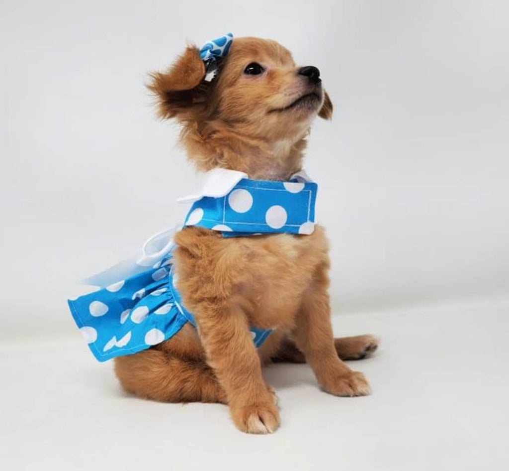 Blue Polka Dot Dog Dress w/ Matching Leash - The Bougie Pet Boutique