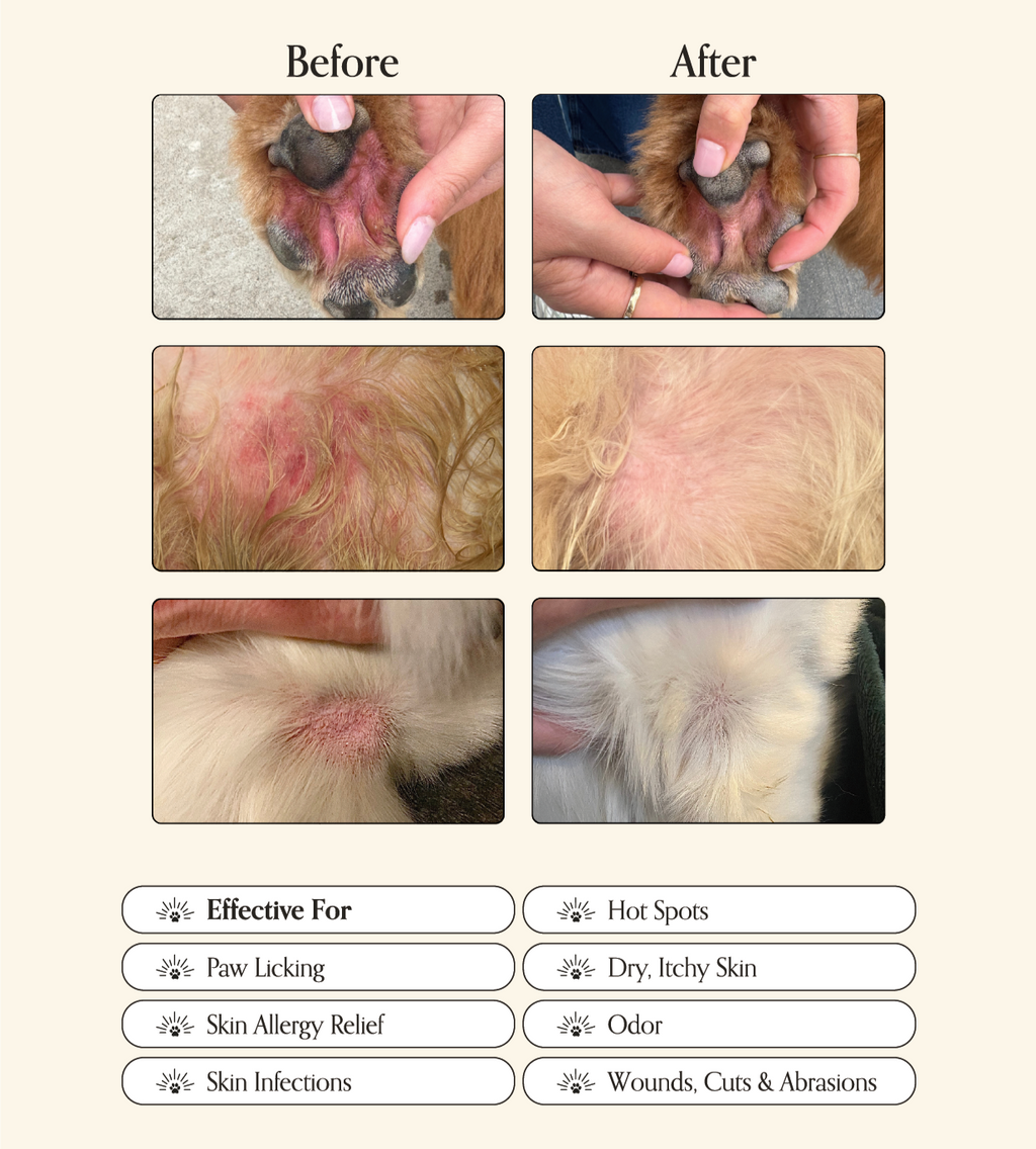 Miracle Mist - The Bougie Pet Boutique