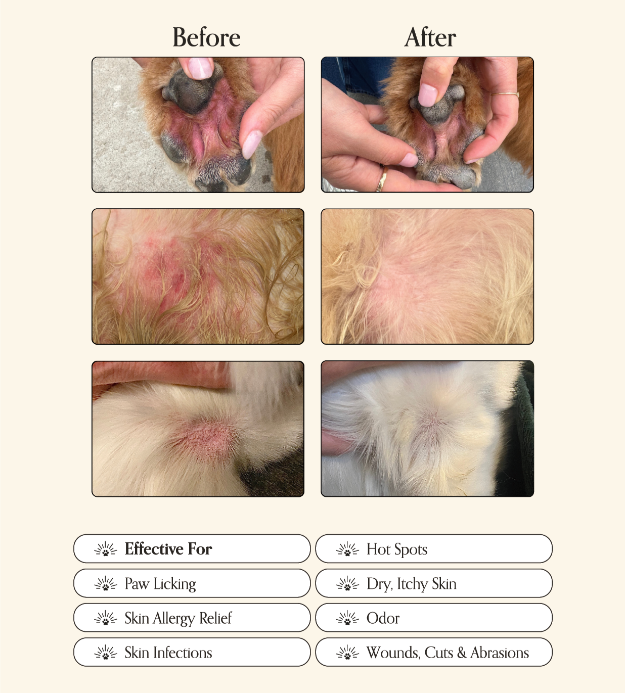 Miracle Mist - The Bougie Pet Boutique