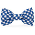 Lake Blue Gingham Dog Bow Tie - The Bougie Pet Boutique