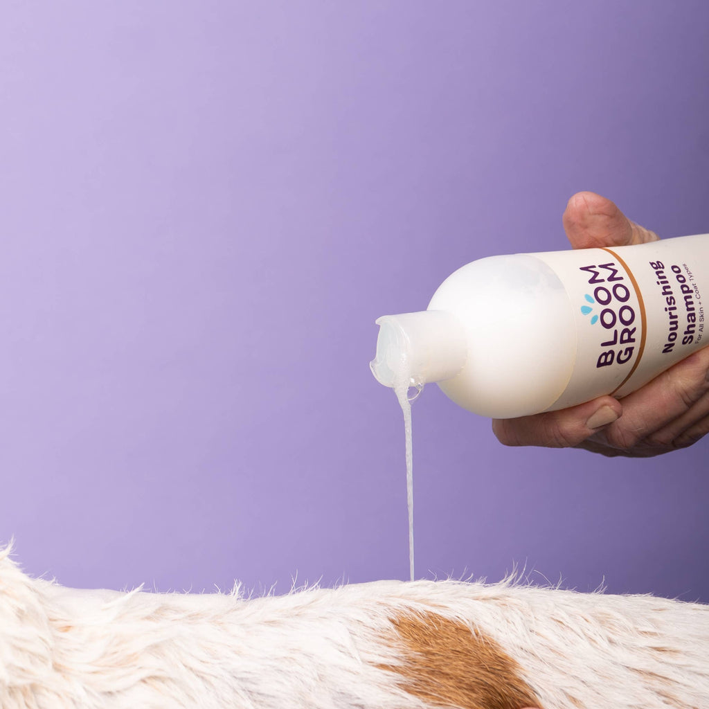 Nourishing Shampoo For Dogs, Botanical Bay Bloom Groom