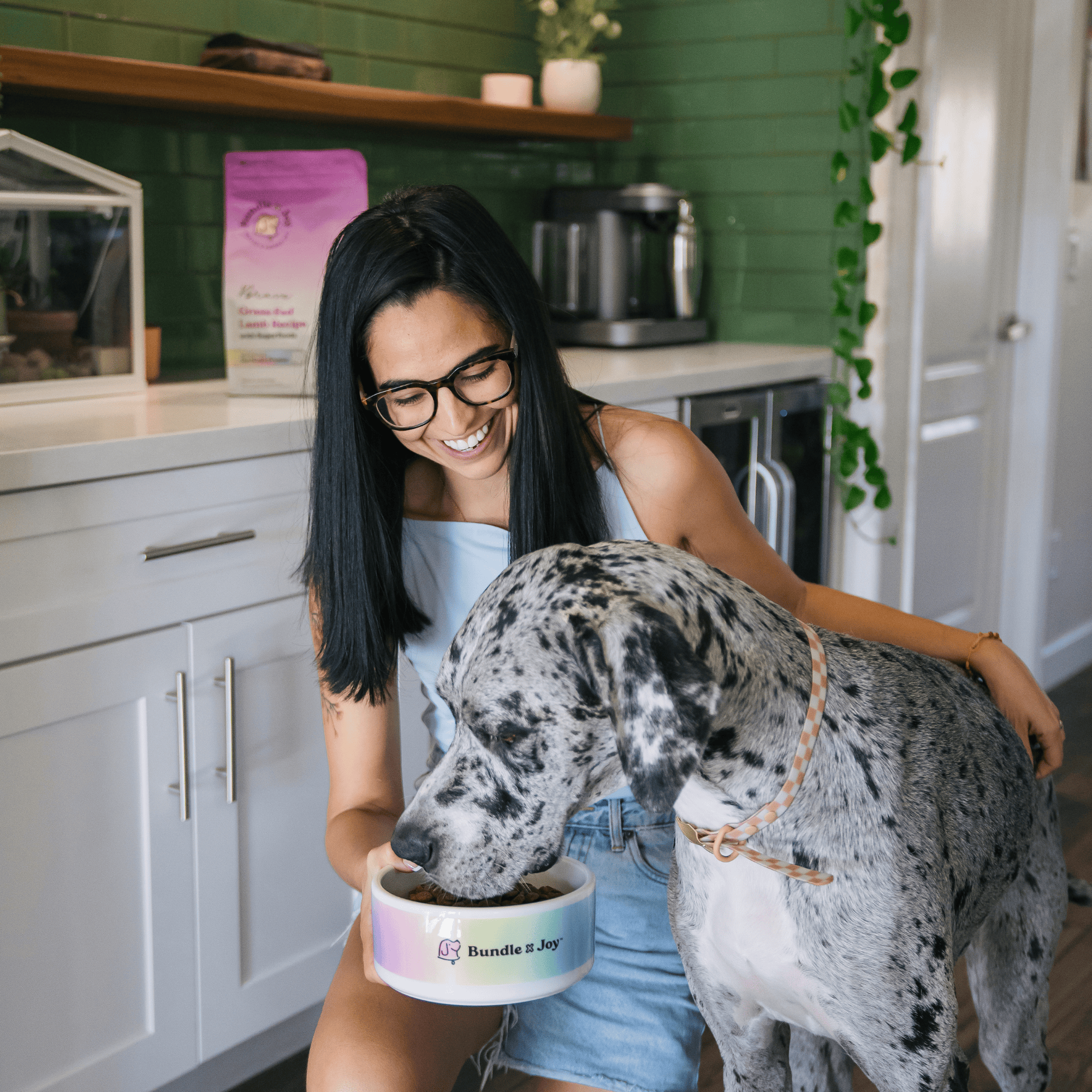 Brave Grass-Fed Lamb Dog Food (Poultry-Free) 4lb