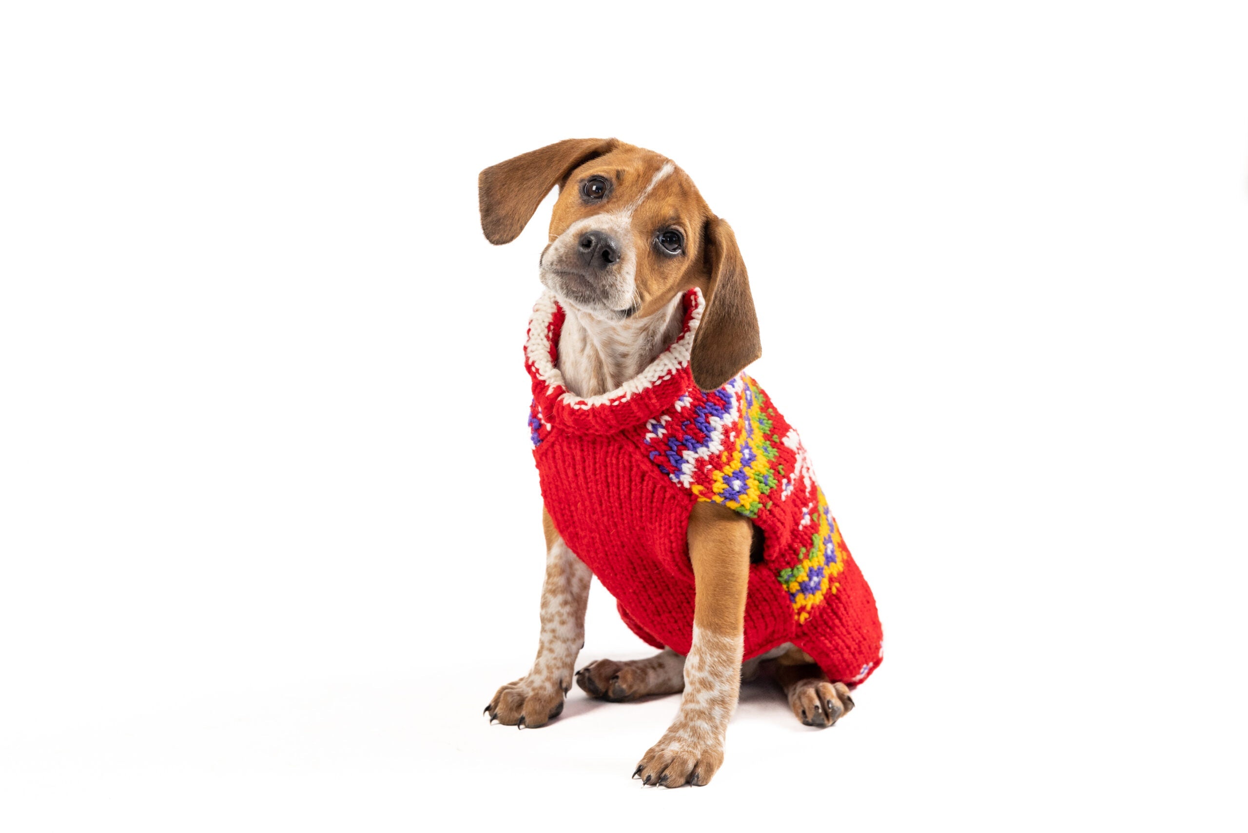 Jolly Red Dog Sweater ChillyDogSweaters