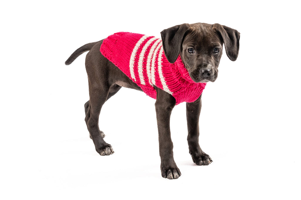 Katie Alpaca Stripe Dog Sweater ChillyDogSweaters