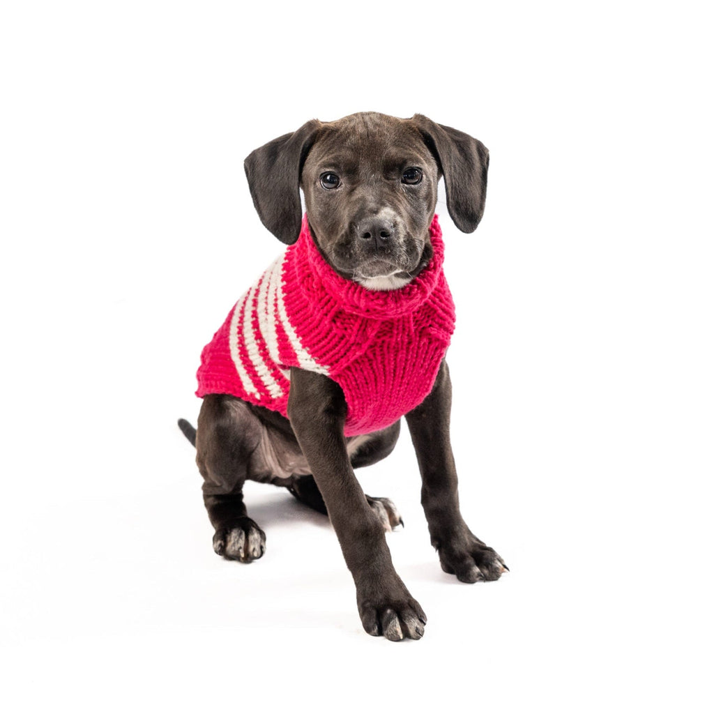 Katie Alpaca Stripe Dog Sweater ChillyDogSweaters