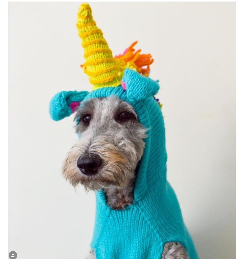Unicorn Dog Sweater ChillyDogSweaters