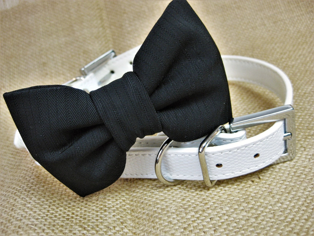 Personalized Pet Collar | White - The Bougie Pet Boutique