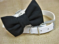 Personalized Pet Collar | White - The Bougie Pet Boutique